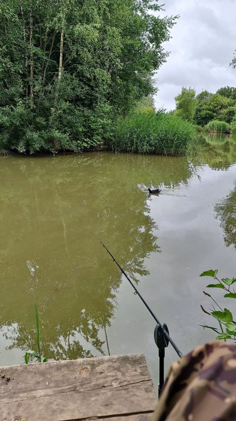 Rosemary Wood Fisheries